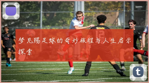 梦见赐足球的奇妙旅程与人生启示探索