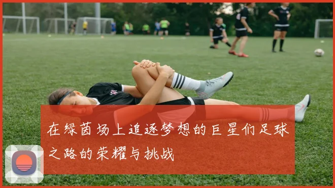 在绿茵场上追逐梦想的巨星们足球之路的荣耀与挑战