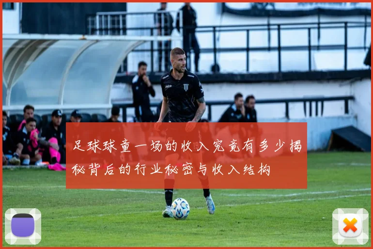 足球球童一场的收入究竟有多少揭秘背后的行业秘密与收入结构