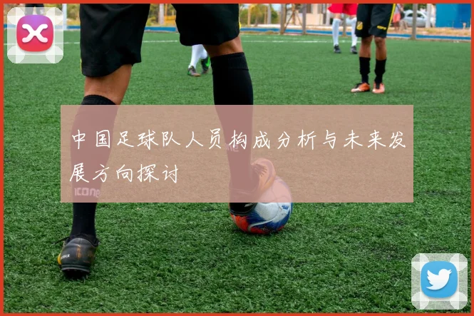 中国足球队人员构成分析与未来发展方向探讨