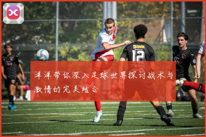 洋洋带你深入足球世界探讨战术与激情的完美结合