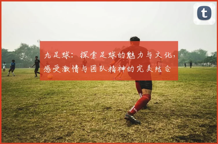 九足球：探索足球的魅力与文化，感受激情与团队精神的完美结合